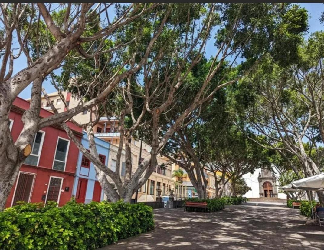 הוילה Güimar Casa Tina מראה חיצוני תמונה