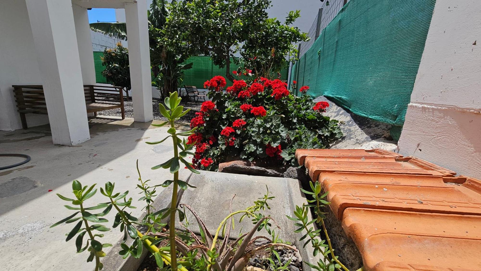 הוילה Güimar Casa Tina מראה חיצוני תמונה